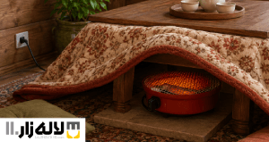 نمایی از استفاده از کرسی برقی